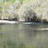 Nice trout spot Nice trout spot